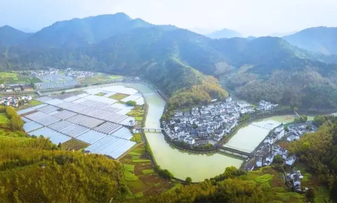 17548808912857747563.jpg 10004.jpg