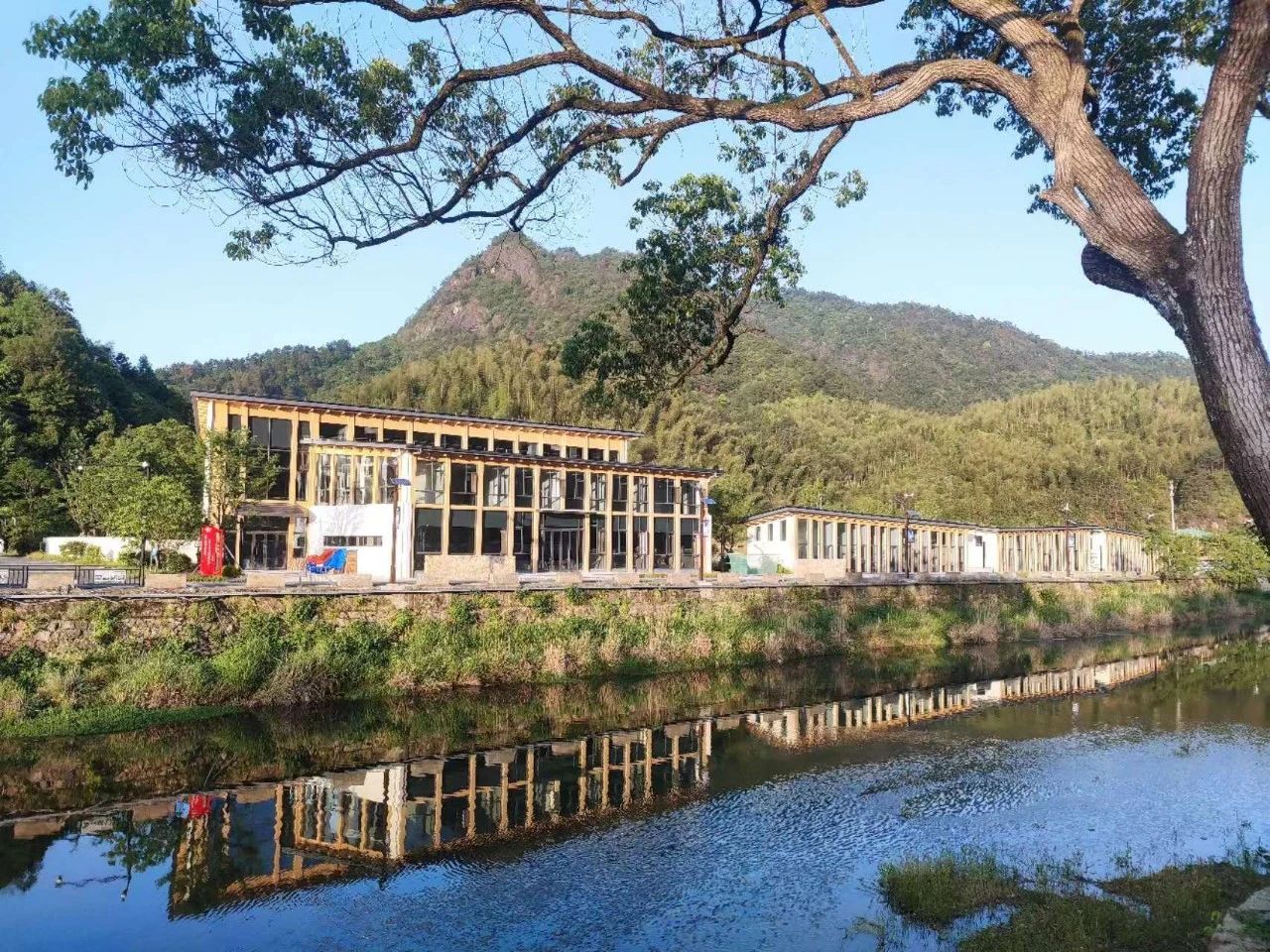 1754880910173332C1AF.jpg 10003.jpg